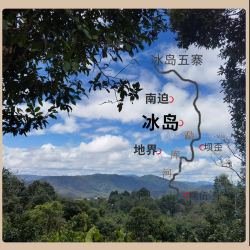 新益号冰岛五寨古树茶500g