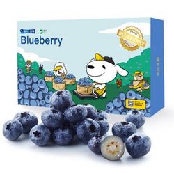 京觅 Joy x Doga  京东定制智利进口蓝莓 12盒装 约125g/盒