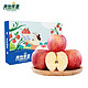 洛川苹果  特级大果7.5斤 单果210g以上 优单礼盒