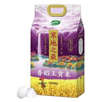 十月稻田 寒地之最 香稻王大米 5kg