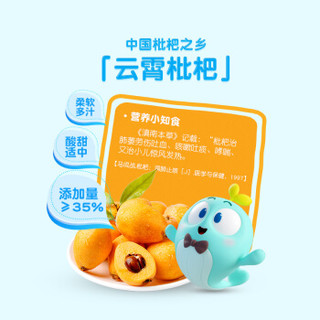Reecen Baby 力诚宝宝 宝宝零食儿童休闲小吃 枇杷果片果丹皮儿童零食 枇杷果片50g/袋