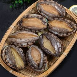 希菲新鲜冷冻大鲍鱼20头