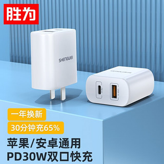 胜为  type-c数据线 苹果数据线PD快充100W60W 适用于华为苹果小米手机笔记本充电线 USB+TYPE-C双口快充头 胜为