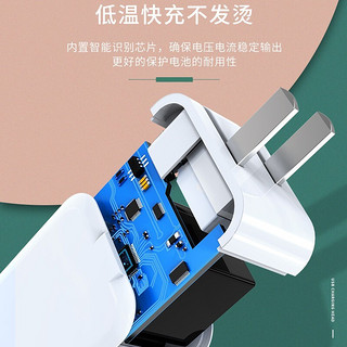 胜为  type-c数据线 苹果数据线PD快充100W60W 适用于华为苹果小米手机笔记本充电线 3.1A双口USB充电器 胜为