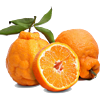 飞犇 丑橘