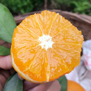 CHENGNANBAOHUA 城南堡花 冰糖橙 4.5kg