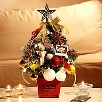 美青（MEIQING） 迷你小圣诞树装饰摆件挂件套餐45cm桌面小型圣诞树彩灯装饰礼盒 金色/800g
