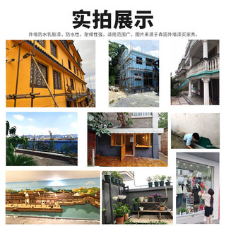 森固外墙漆防水防晒乳胶漆外墙涂料室外墙漆油漆白色彩色内墙面漆（15L、天空蓝）