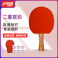 红双喜乒乓球拍专业级单拍双拍初学者儿童学生兵乓球拍狂飙高弹力