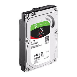 SEAGATE 希捷 ST4000VN008 酷狼 NAS硬盘 4TB  64MB 5900转