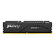 Kingston 金士顿 Beast野兽 骇客神条 FURY DDR5 6000 台式机内存条 8GB