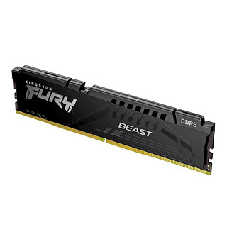 Kingston 金士顿 FURY Beast野兽系列 DDR5 6000MHz 台式机内存 马甲条 黑色 32GB 16GB*2 C40