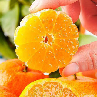 正宗广西砂糖橘整箱新鲜水果小橘子当季蜜桔大果 带箱4.5斤