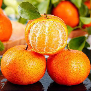 正宗广西砂糖橘整箱新鲜水果小橘子当季蜜桔大果 带箱4.5斤