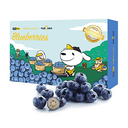 京觅 智利进口蓝莓 12盒装 约125g/盒