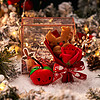 巧心师 圣诞节伴手礼创意礼品干花玫瑰花生日礼物麋鹿装饰苹果礼盒