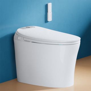 大白智能马桶最新优惠