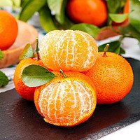 正宗广西砂糖橘新鲜斤沙塘桔小橘子当季水果整箱现货现发 带箱4.5斤