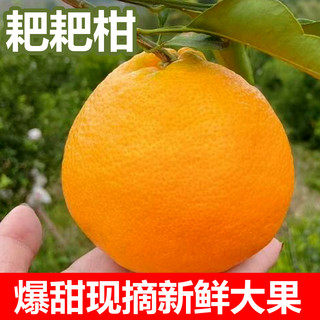 zaozuo