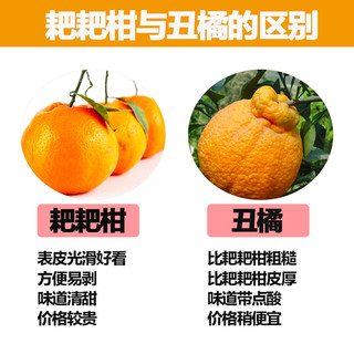 （5斤券后19.8）什谷丰 四川春见耙耙柑 丑柑橘子新鲜应季粑粑柑当季时令生鲜水果 严选带箱5斤-单果75mm以上（拍2件合发8斤）