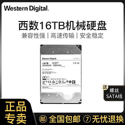 Western Digital 西部数据 16TB HC550 SATA6Gb/s 7200转512M 氦气密封 企业