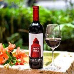 德国小红帽 买一送一西班牙原瓶进口奥兰小红帽红酒干红半甜礼盒装热