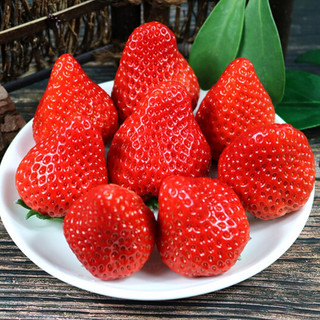 PLUS会员：鲜姿 丹东99红颜奶油草莓 单果20-30克 2斤