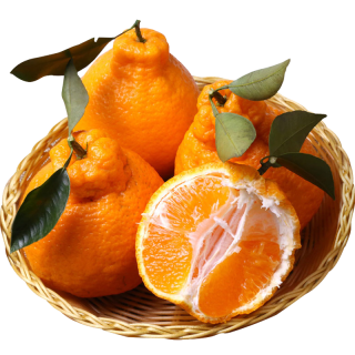 四川丹棱丑橘不知火带箱5斤8085mm超大果