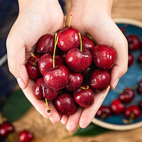 PAGO JOY 百果心享 智利进口车厘子 JJ 4斤