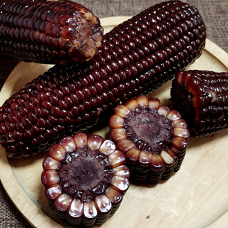 缘参堂 富硒黑糯玉米 2.3kg