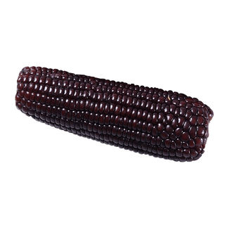 缘参堂 富硒黑糯玉米 2.3kg
