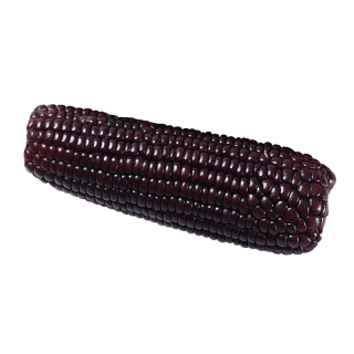 缘参堂 富硒黑糯玉米 2.3kg