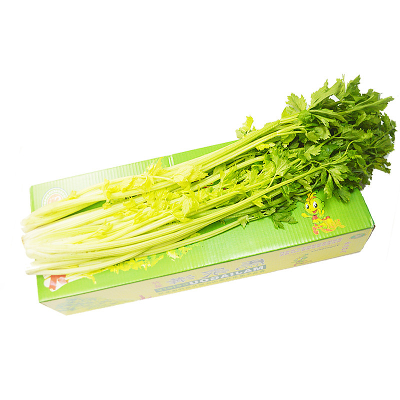 芹菜怎么做才能好吃又减脂!