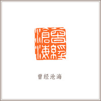 青田石古狮钮摹刻方章《曾经沧海》藏书章引首章书画书法闲章印章
