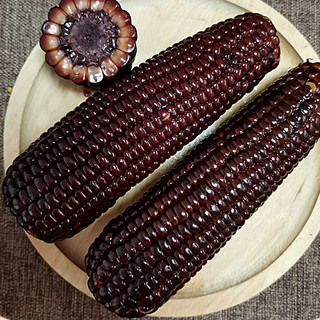 缘参堂 富硒黑糯玉米 2.3kg