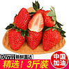空运直达  丹东99草莓 丹东久久红颜草莓礼盒装 奶油草莓水果新鲜草莓 3斤大果装