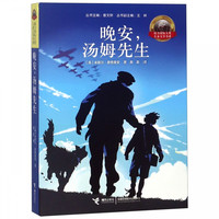 晚安汤姆先生/接力 大奖儿童文学书系