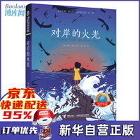 对岸的火光/接力 大奖儿童文学书系