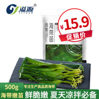 溢源 盐渍海带苗嫩新鲜 海带嫩苗500g