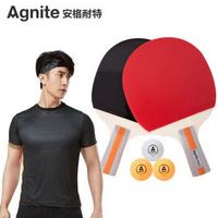 Agnite 安格耐特 直拍2拍3球乒乓球拍 F2320 红色/黑色 对拍套装