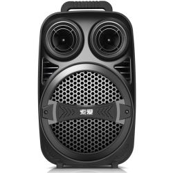 soaiy索爱t11广场舞音响户外便携式音响大功率低音炮带无线麦克风