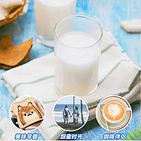 Nanguo 南国 海南特产纯椰子粉320g 早餐椰奶冲饮代餐（新老交替）
