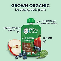 Gerber 嘉宝 Organic 2nd Foods 婴儿食品，苹果，山莓和巴西莓，3.5盎司，99克，袋装，12包