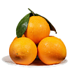 深山万家农特 脐橙 大果 单果果径75-90mm 4.5kg