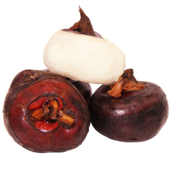 陈雨桐新鲜马蹄荸荠带土发货农家小地梨整箱带箱3斤