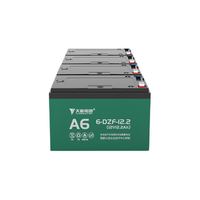 TIANNENG BATTERY 天能电池 48V12AH 4只