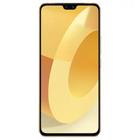 vivo 手机S12全网通12G+256G暖金