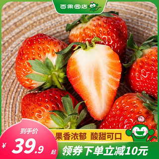 丹东99草莓新鲜1-3斤当季新鲜红宝玉红颜奶油大草莓