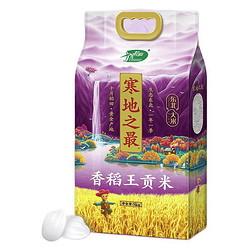 SHI YUE DAO TIAN 十月稻田 寒地之最 香稻王大米 5kg