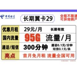 CHINA TELECOM 中国电信 长期翼卡 29元月租（65GB通用流量+30GB定向流量+300分钟通话）